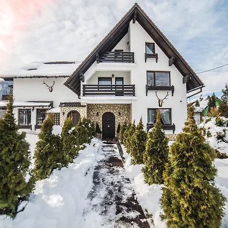 Bran Chalet-3
