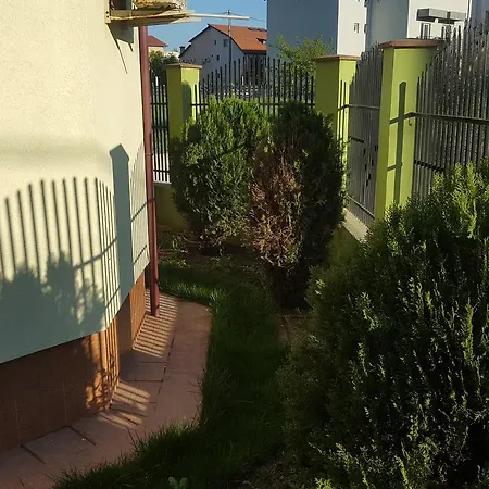 Pensiunea Alegria-2