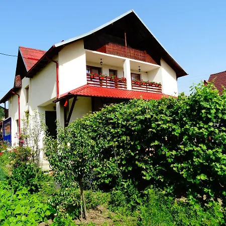 Pensiunea Casa Elena-2