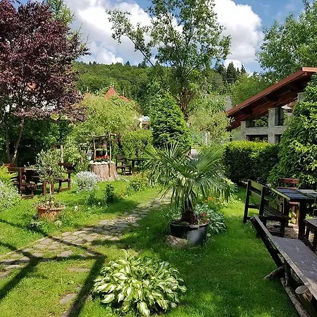 Pensiunea Liziera-2