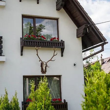 Bran Chalet-2