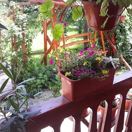 Casa Dana-3