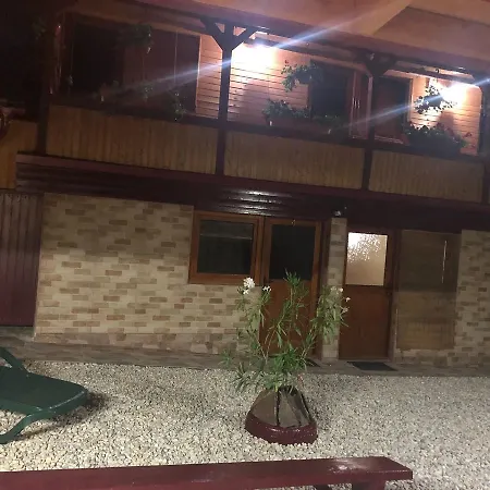 Casa de vacanța Alina-2