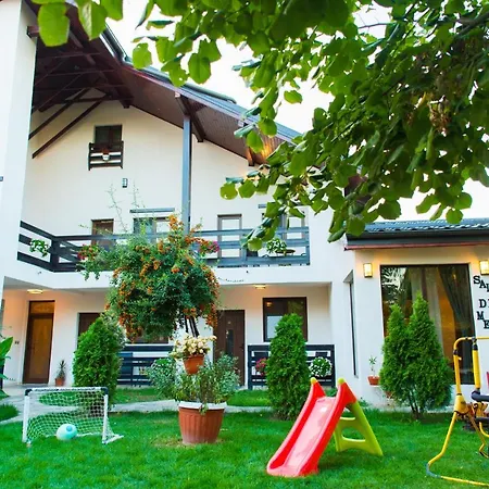 Pensiunea Puiu-3