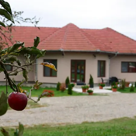 Casa Alin-3