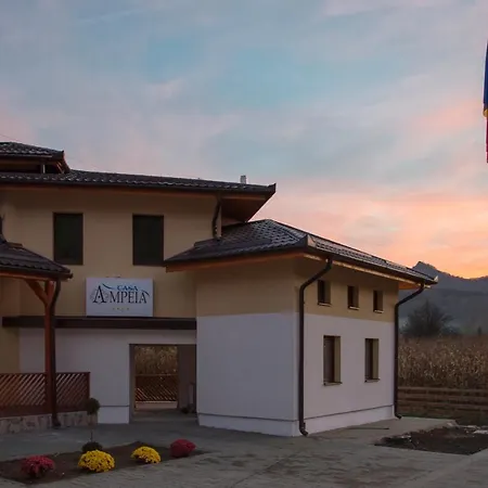 Pensiune Casa Ampeia-2