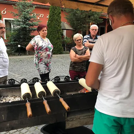 Pensiunea Trasura - Hinto Panzio-3