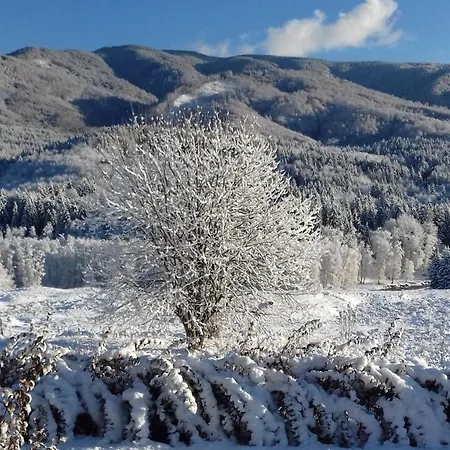 Valea Doamnei-3