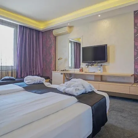 Z Executive Boutique Hotel-2