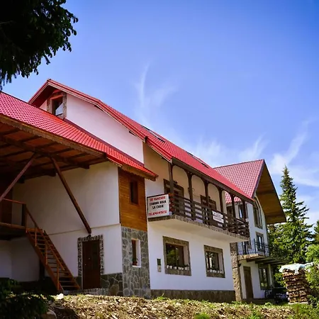 Pensiunea Montana Muntele Mic-3