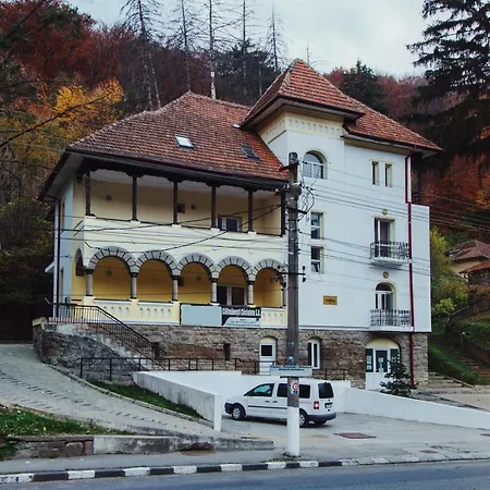 Vila Turnul-2