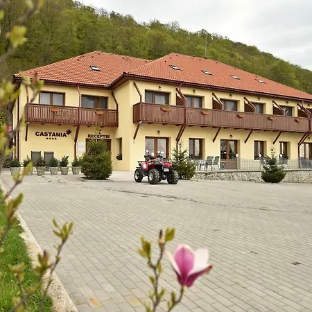 Pensiunea Castania - Pensiune cu piscina la munte-3