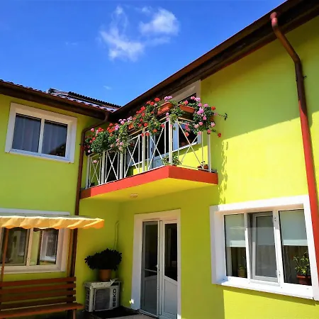 Casa Nelu Pescaru-2