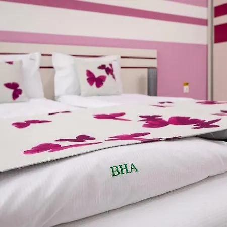 Brasov Holiday Apartments - Butterfly-3