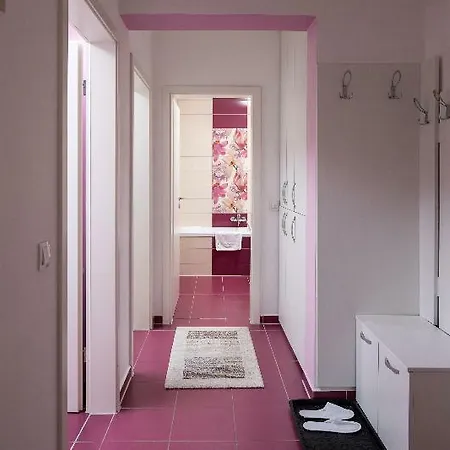 Brasov Holiday Apartments - Magenta-3