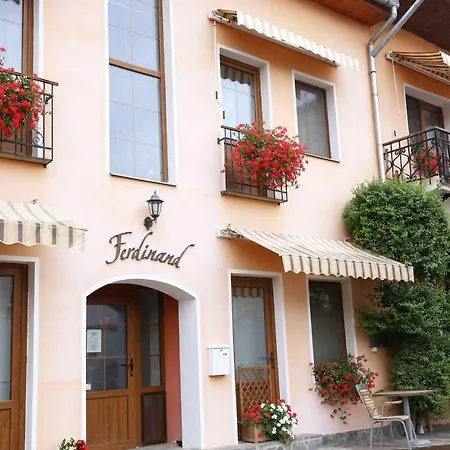 Pension Ferdinand Panzio-3