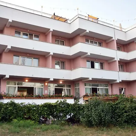 Timona Confort-3