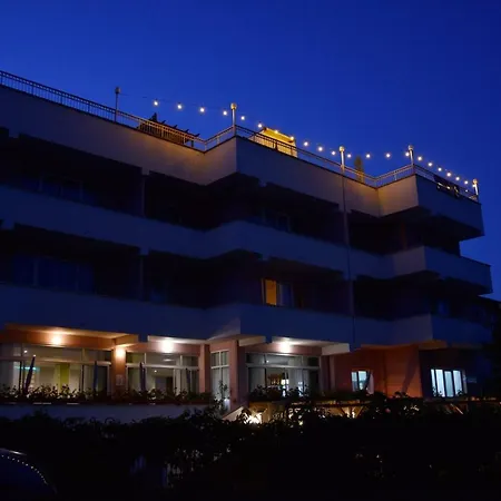 Timona Confort-2
