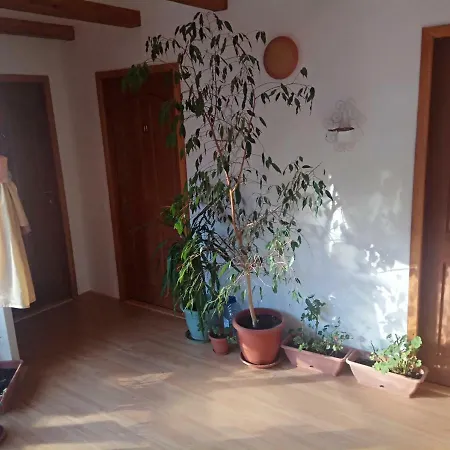 Casa Alexandru-3
