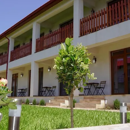 Casa Baran Vama Veche-3