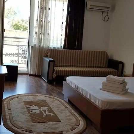 Casa Rodica-3