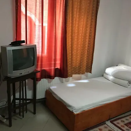 Casa Nicu Murighiol-3