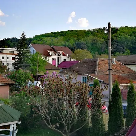 Coroni Residence - Cazare Delegati si Muncitori Brasov-2