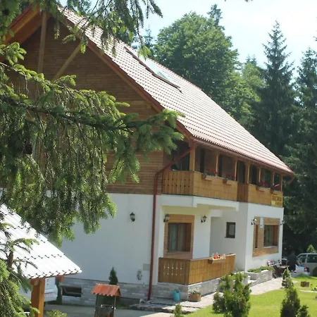 Arnica Montana-2