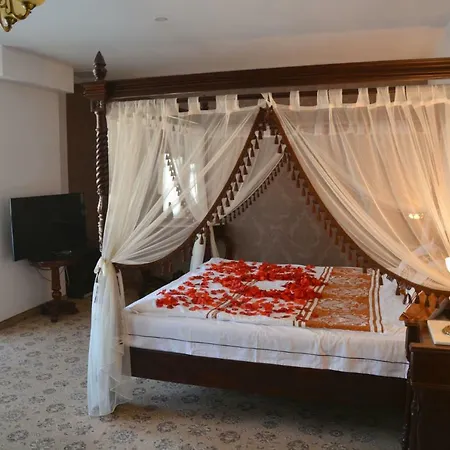 Pik Elegance-3