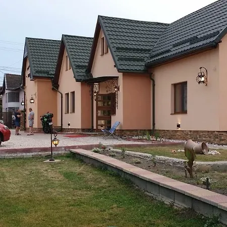 Pensiunea Brazi-3