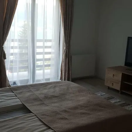 Casa Davideea-2