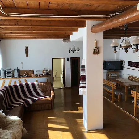 Pensiunea Casa Teo-2