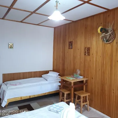 Casa Rodica str. Clabucetului 28-2