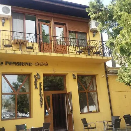 Casa Elegant-2
