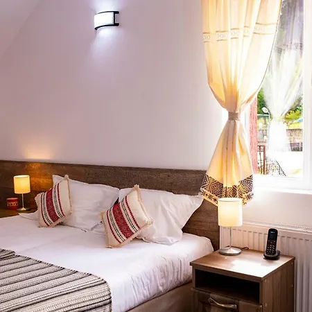 Hotel Floare de Colt-3