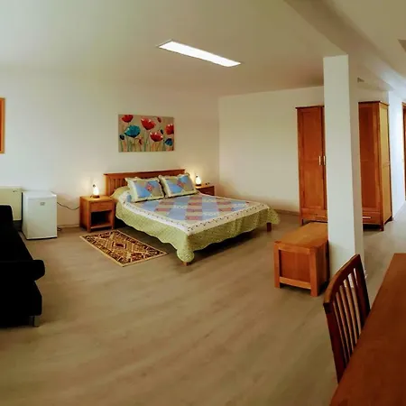Villa Sanitas-3