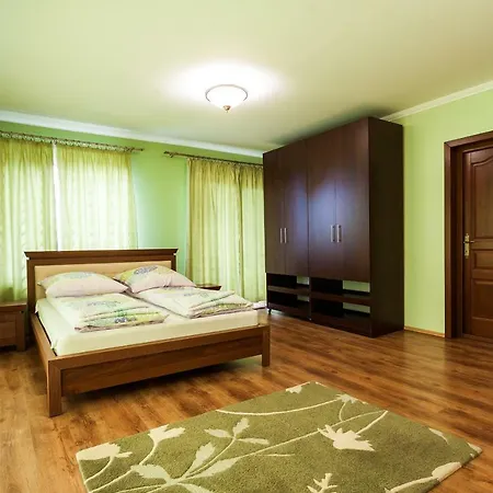 Vila Transylvania-3