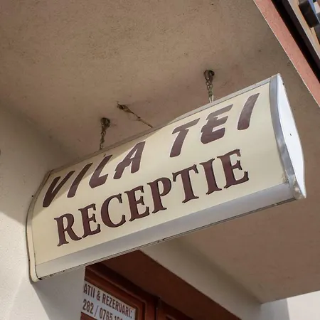 Vila Tei Guesthouse-3