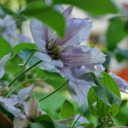 Casa Eden-3