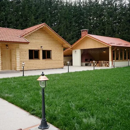 Pensiunea Floarea de Colt-3