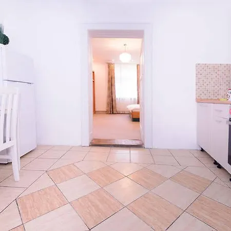 Rent For Comfort Apartments Brasov-3