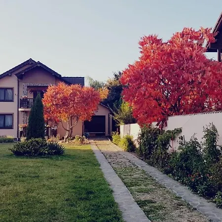 Celeste House Sibiu-2