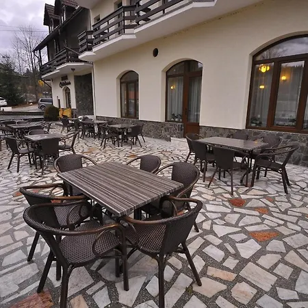 Hotel Cerbul-3