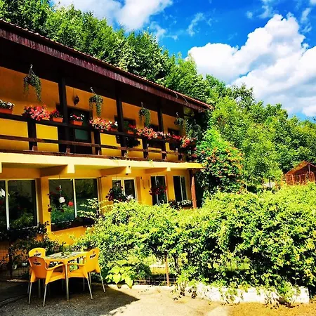 House In The Woods-3