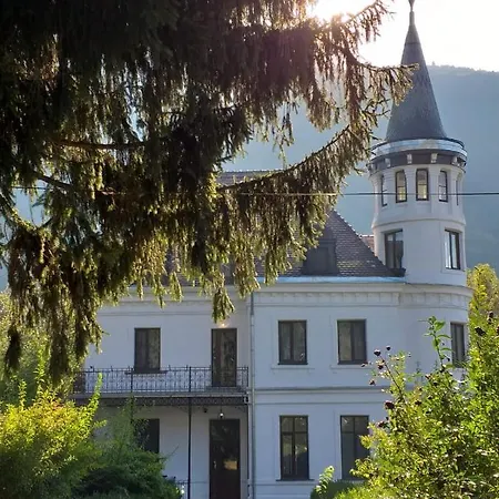 Vila Micul Castel-3