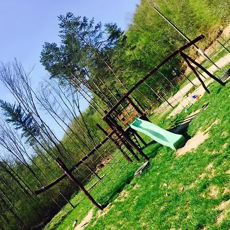 House In The Woods-2