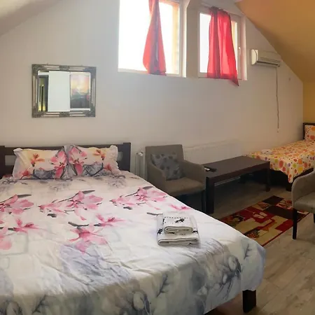 Casa Stefan Guest House-3