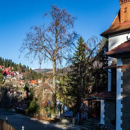 Vila Retezat Sinaia-2