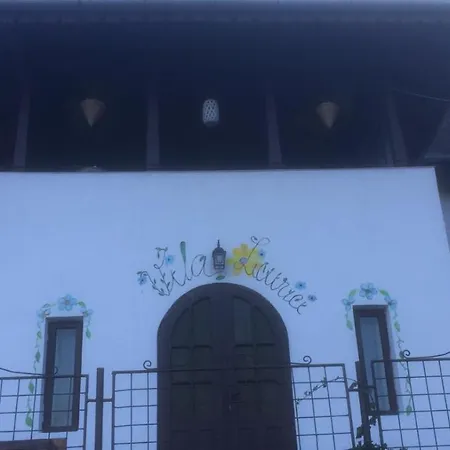 Vila Licurici-2