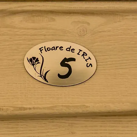 Floare de Iris-3